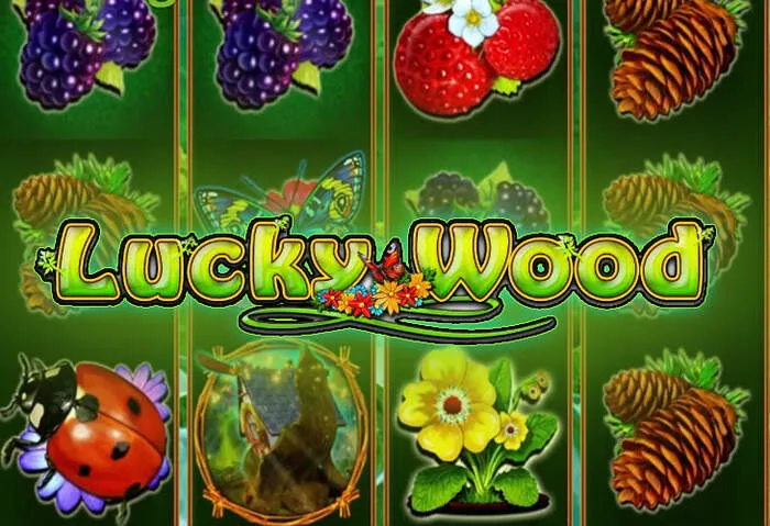 Fast casino withdrawal process with various payout methods.