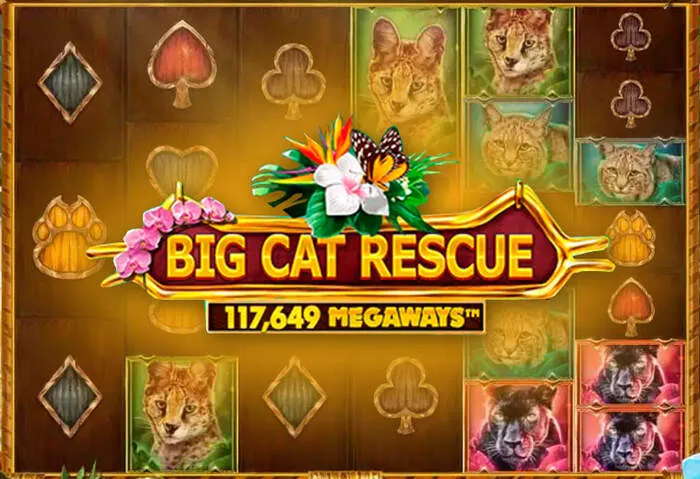 Secure and free download of Slotlaircasinodownload Site for top-rated online casino games.