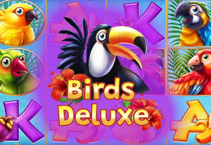 Your casino account: sign up, log in, and activate bonus codes.